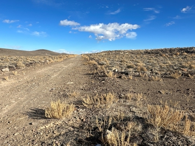 Nevada Residential Recreational Land For Sale in Lyon County - image 35