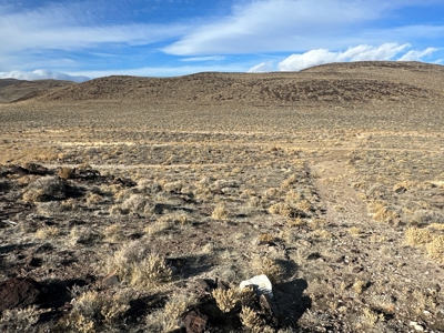 Nevada Residential Recreational Land For Sale in Lyon County - image 28