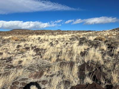 Nevada Residential Recreational Land For Sale in Lyon County - image 3