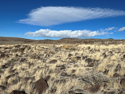 Nevada Residential Recreational Land For Sale in Lyon County - image 2