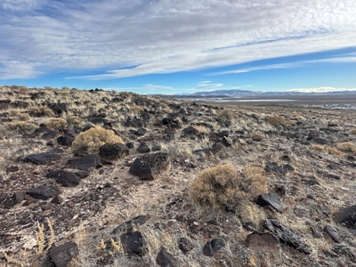 Nevada Residential Recreational Land For Sale in Lyon County - image 1