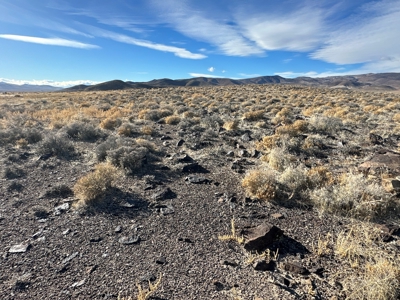Nevada Residential Recreational Land For Sale in Lyon County - image 27