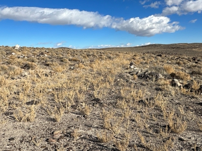 Nevada Residential Recreational Land For Sale in Lyon County - image 13