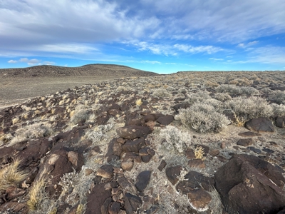 Nevada Residential Recreational Land For Sale in Lyon County - image 46