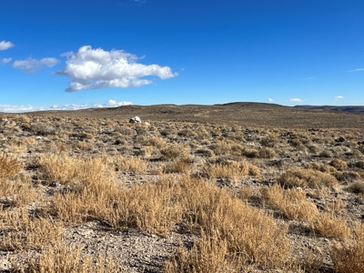 Nevada Residential Recreational Land For Sale in Lyon County - image 16
