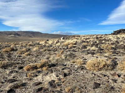 Nevada Residential Recreational Land For Sale in Lyon County - image 15
