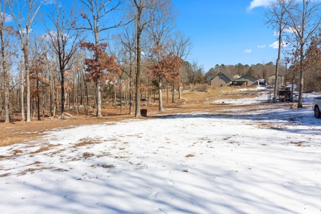 Lakefront Home with City Living For Sale near Searcy, AR - image 46