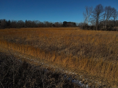 Home for sale Fort Leonard Wood - image 7