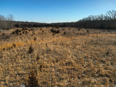 Home for sale Fort Leonard Wood - image 3