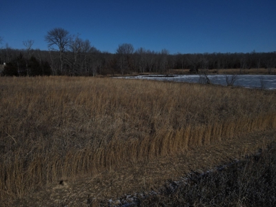 Home for sale Fort Leonard Wood - image 8
