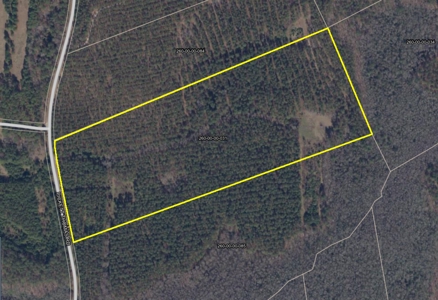 Lot 3- Recreational Land for Sale in Camden SC - image 15