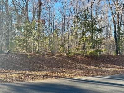 Jonathan's Landing Oasis:Secluded Lake Retreat in Bullock,NC - image 10