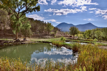 Colorado Water Rights for Sale on Mountain 10 Acres - image 4