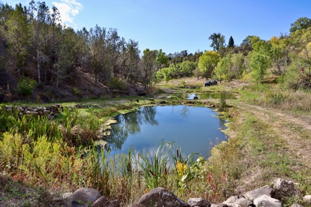 Colorado Water Rights for Sale on Mountain 10 Acres - image 6