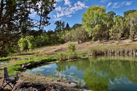 Colorado Water Rights for Sale on Mountain 10 Acres - image 3