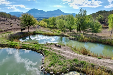 Colorado Water Rights for Sale on Mountain 10 Acres - image 8