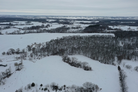 Lindner 136 Acres - Tract 3 - image 3