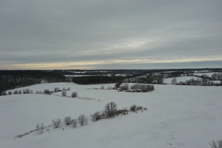 Lindner 136 Acres - Tract 3 - image 9
