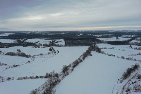 Lindner 125 Acres - Tract 4 - image 4