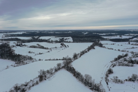 Lindner 125 Acres - Tract 4 - image 3