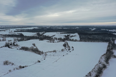 Lindner 125 Acres - Tract 4 - image 7