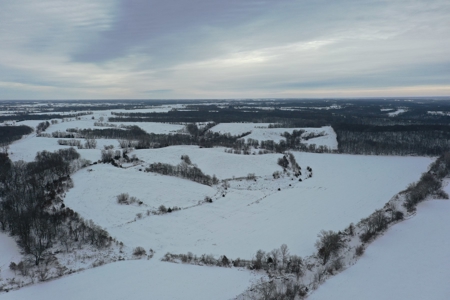 Lindner 125 Acres - Tract 4 - image 5