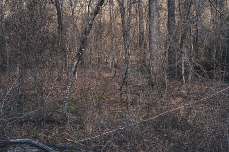 Large Residential Lot in Lincoln Parish - image 39