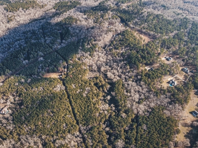 Large Residential Lot in Lincoln Parish - image 8