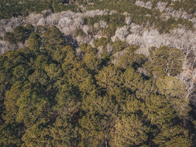 Large Residential Lot in Lincoln Parish - image 25
