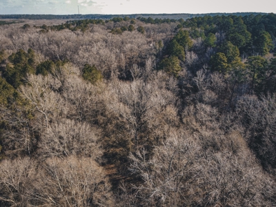 Large Residential Lot in Lincoln Parish - image 5