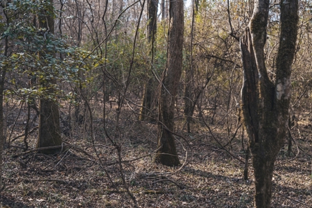 Large Residential Lot in Lincoln Parish - image 32