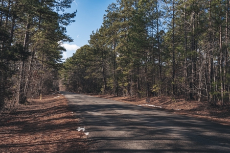 Large Residential Lot in Lincoln Parish - image 12