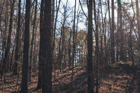 Large Residential Lot in Lincoln Parish - image 27