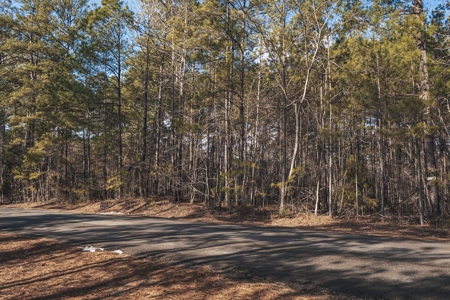 Large Residential Lot in Lincoln Parish - image 23