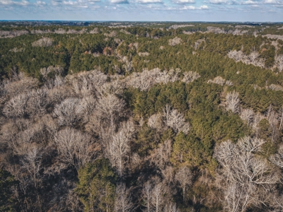 Large Residential Lot in Lincoln Parish - image 3