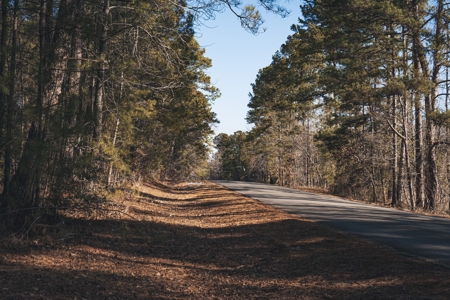 Large Residential Lot in Lincoln Parish - image 11