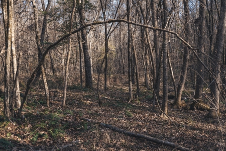 Large Residential Lot in Lincoln Parish - image 33