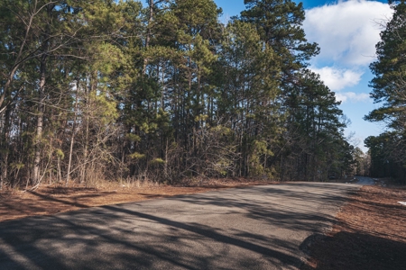 Large Residential Lot in Lincoln Parish - image 30
