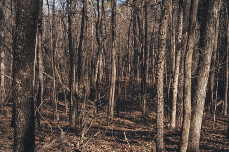 Large Residential Lot in Lincoln Parish - image 38