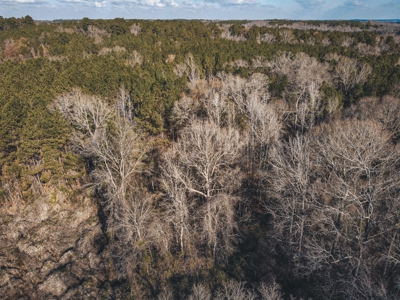 Large Residential Lot in Lincoln Parish - image 19