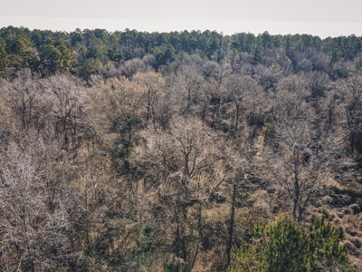 Large Residential Lot in Lincoln Parish - image 13