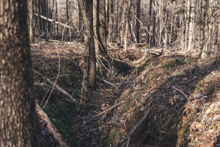 Large Residential Lot in Lincoln Parish - image 37
