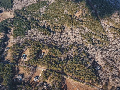 Large Residential Lot in Lincoln Parish - image 2
