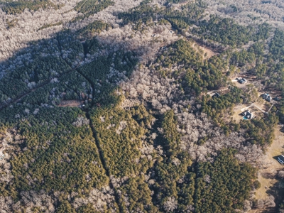 Large Residential Lot in Lincoln Parish - image 16