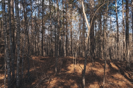 Large Residential Lot in Lincoln Parish - image 34