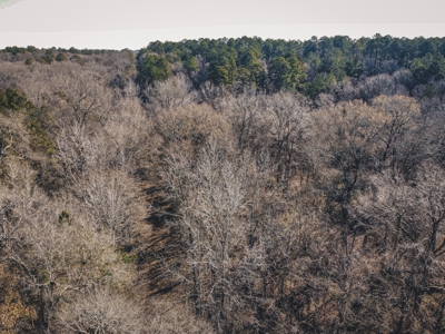 Large Residential Lot in Lincoln Parish - image 9