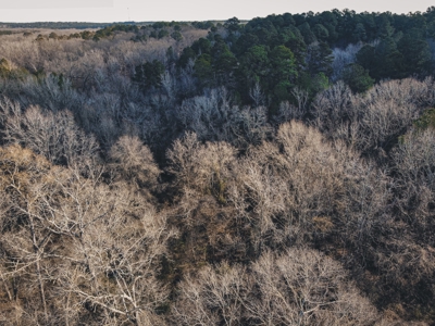 Large Residential Lot in Lincoln Parish - image 15