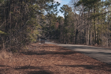 Large Residential Lot in Lincoln Parish - image 20