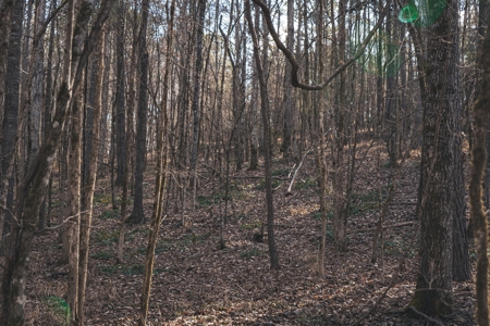 Large Residential Lot in Lincoln Parish - image 41