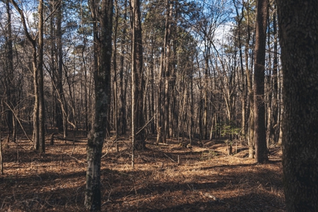 Large Residential Lot in Lincoln Parish - image 22